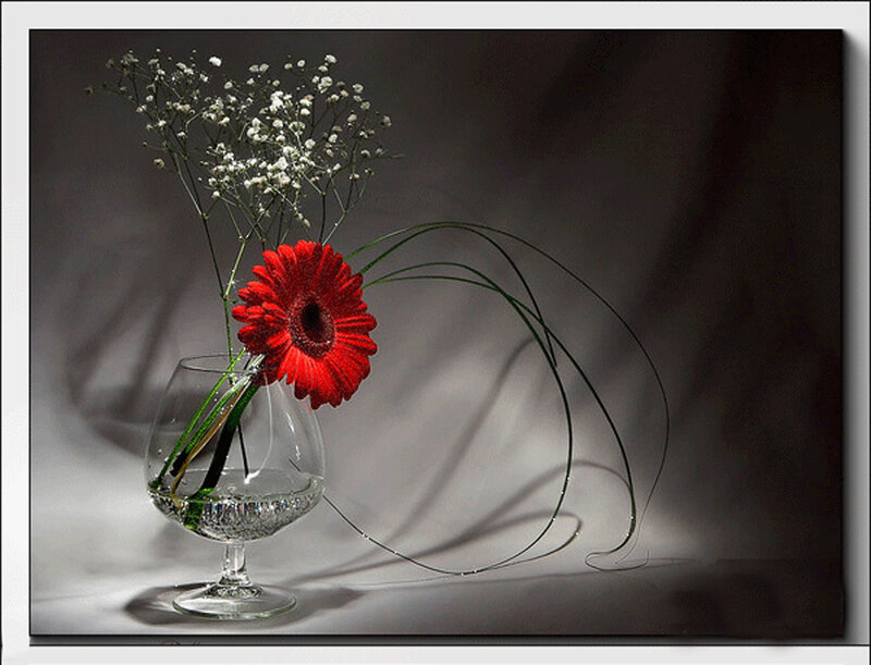 Red flower in a glass
