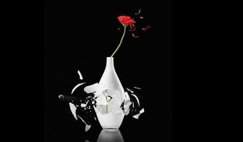 Red Flower in Broken Vase