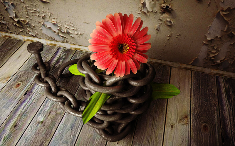 Red Flower in Chain