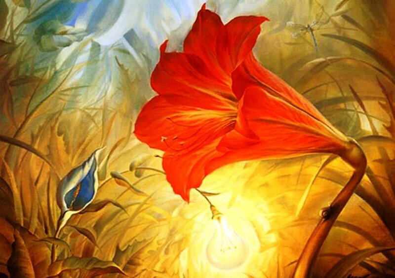 Red Flower in Field