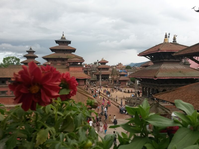 Red Flower in Foreground — Overcast