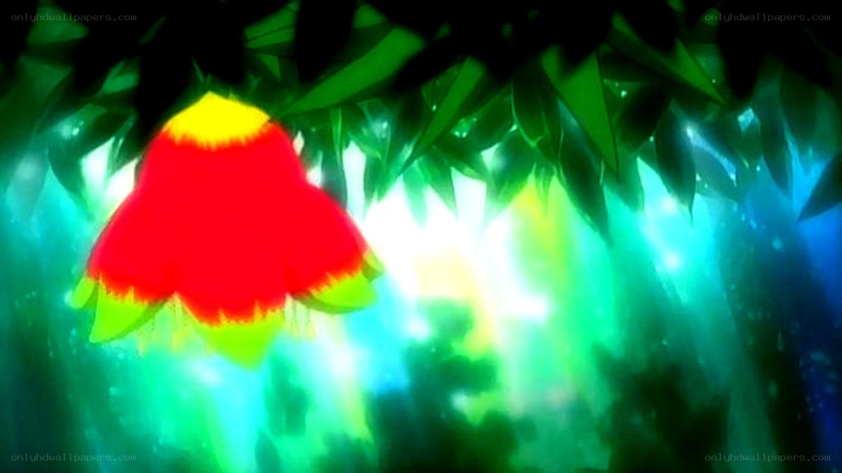 red flower in forest