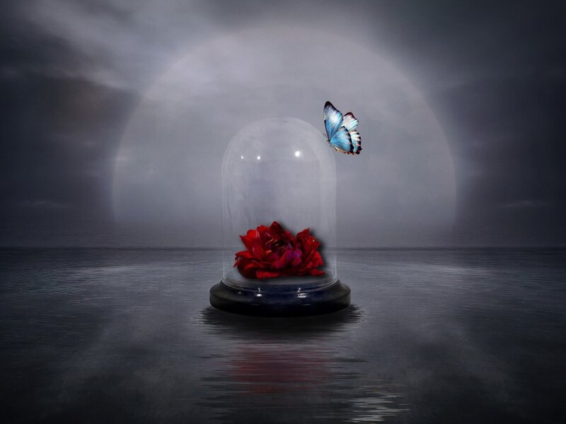 Red Flower in Glass Dome