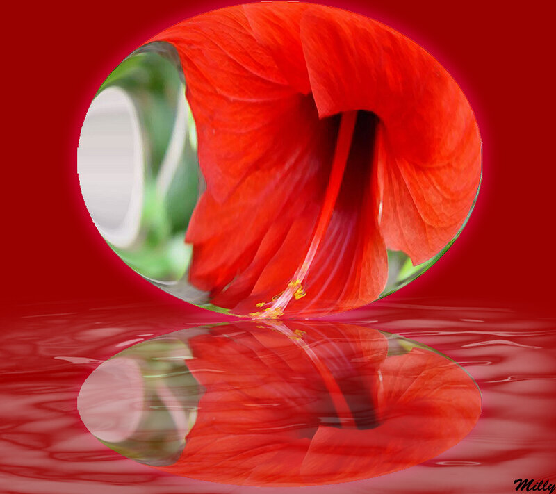Red Flower in Glass Sphere