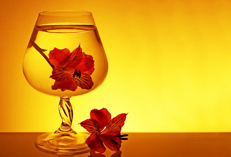 Red Flower in Glass