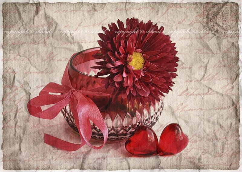 Red Flower in Glass Vase — Romantic