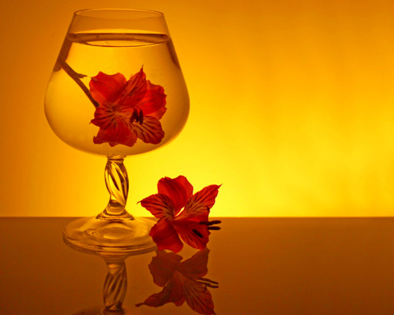 Red Flower in Glass — Yellow