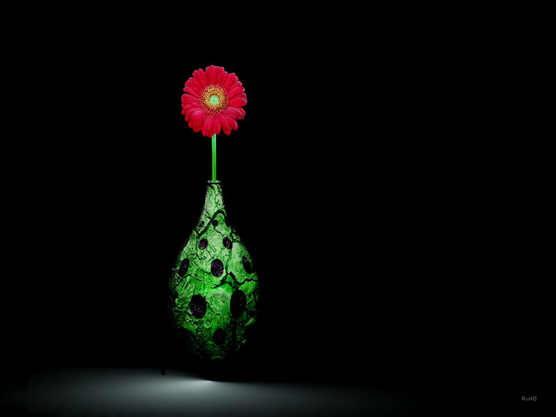 Red Flower in Green Vase