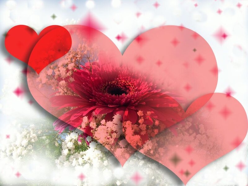 Red Flower in Heart