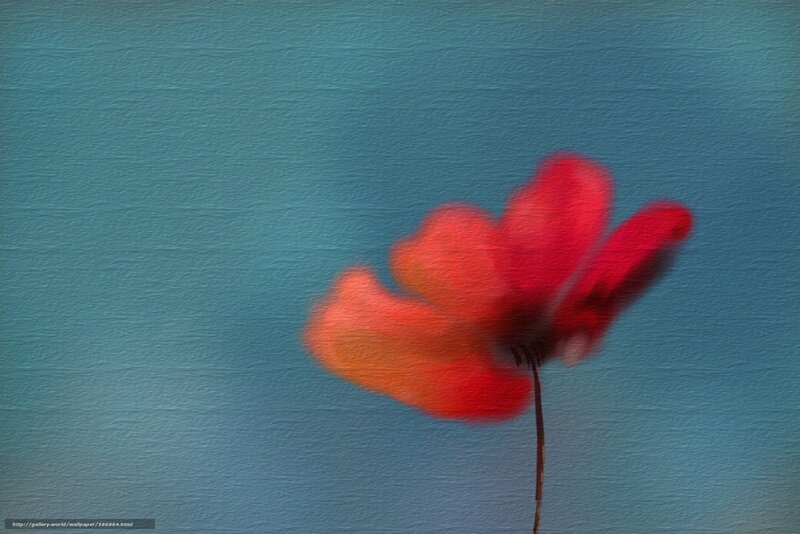 Red flower in motion