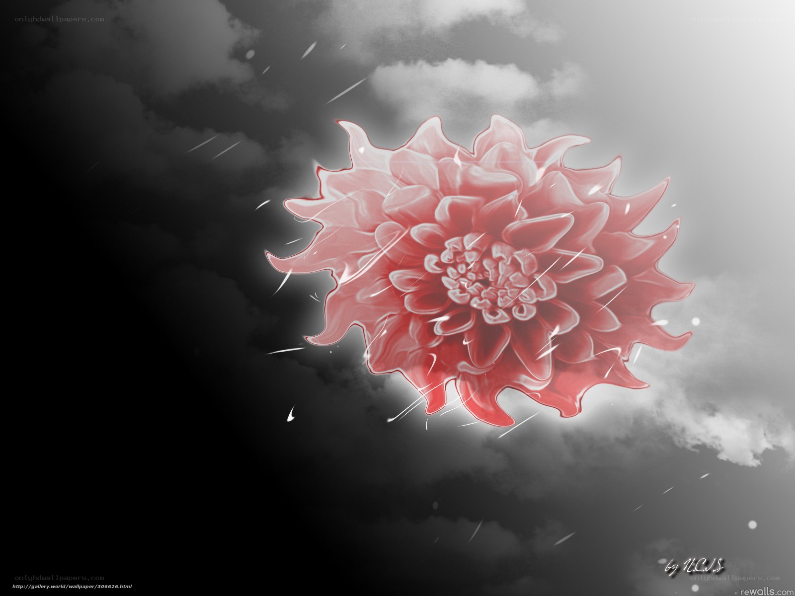 Red flower in stormy sky