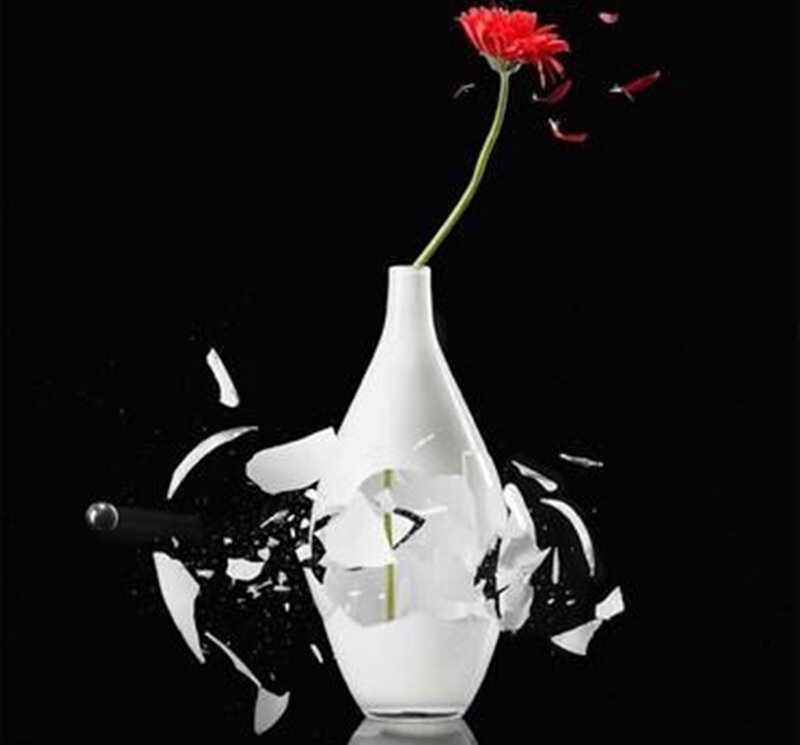 Red Flower in Vase — Black