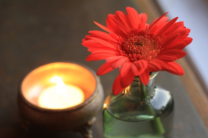 Red Flower in Vase — Calm