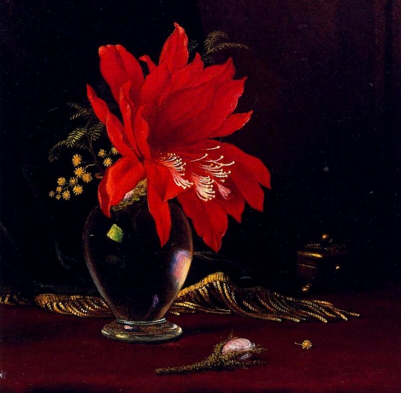 Red Flower in Vase — Dramatic