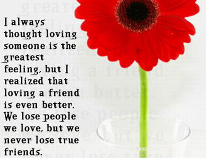 Red Flower in Vase