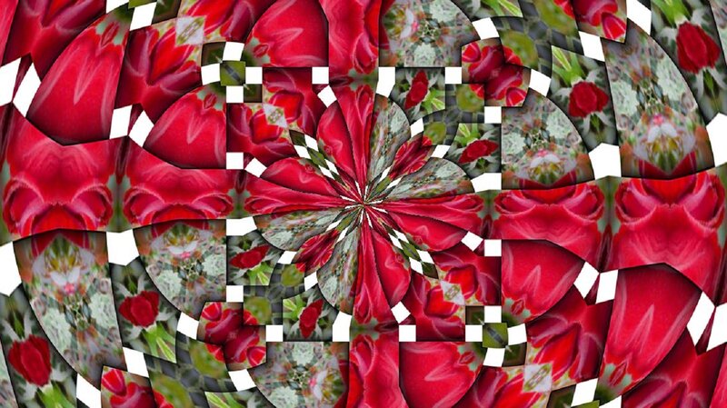 Red Flower Kaleidoscope
