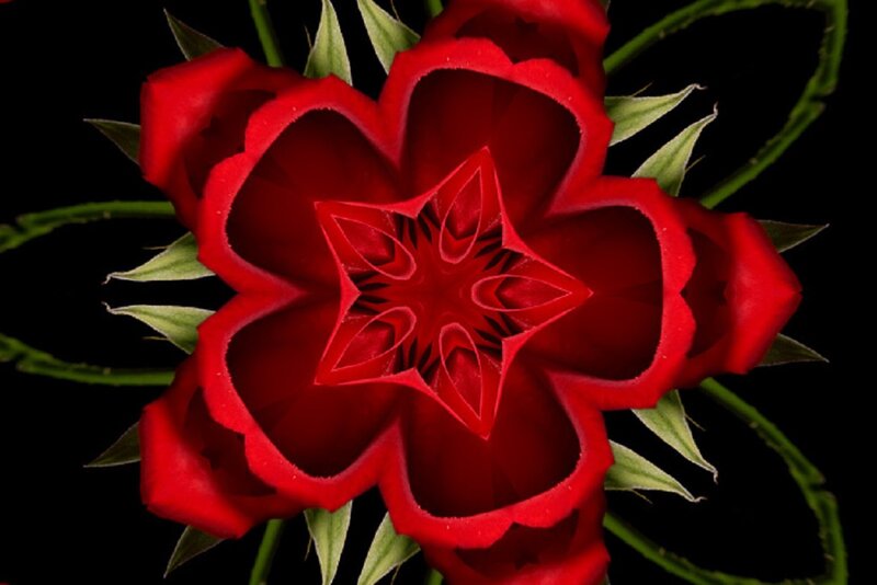 Red Flower Mandala — Dramatic