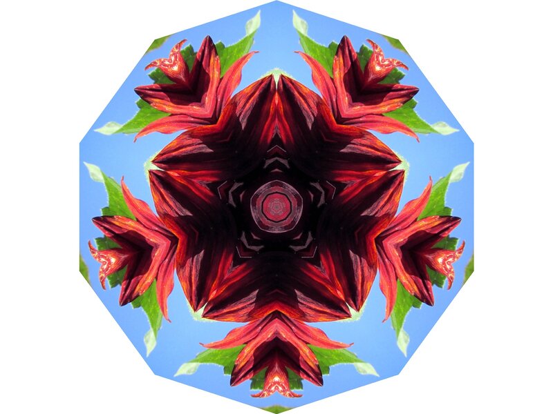 Red Flower Mandala — Symmetrical, Digital Art, Leaves