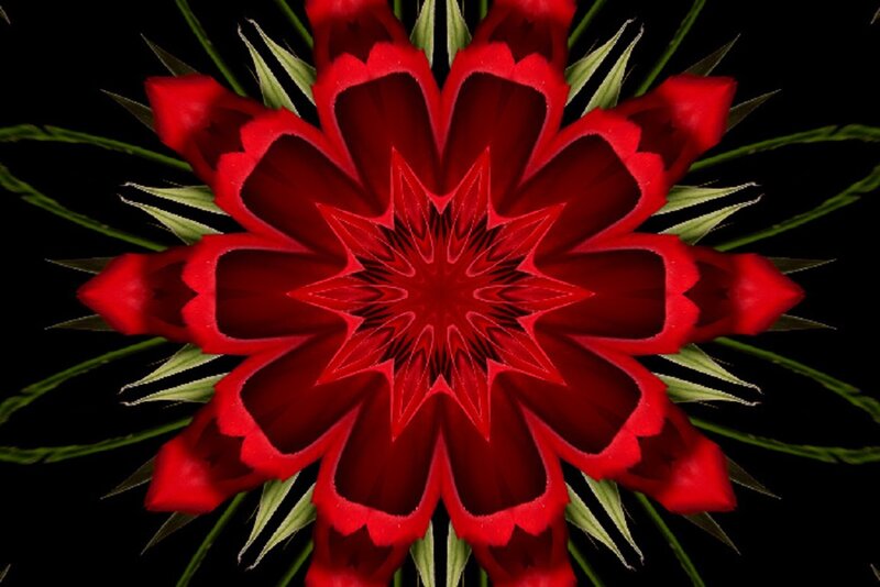Red Flower Mandala — Symmetrical, Digital Art, Petals