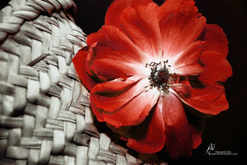Red Flower on Basket