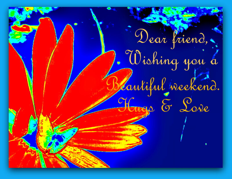 Red Flower on Blue Background