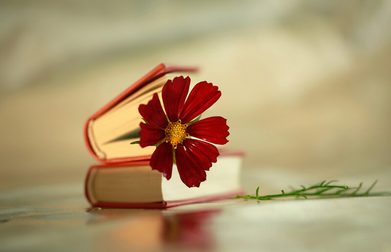 Red Flower on Books