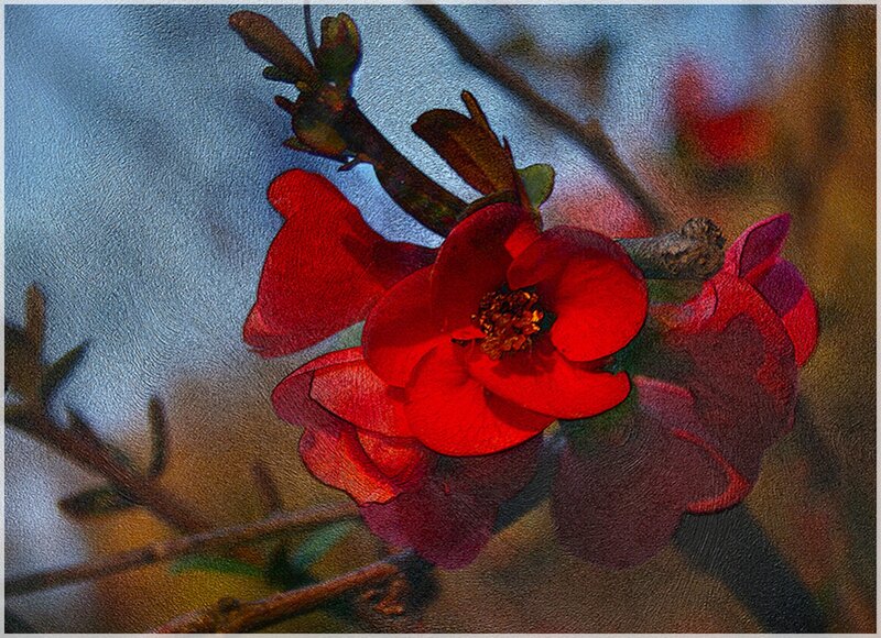 Red Flower on Branch