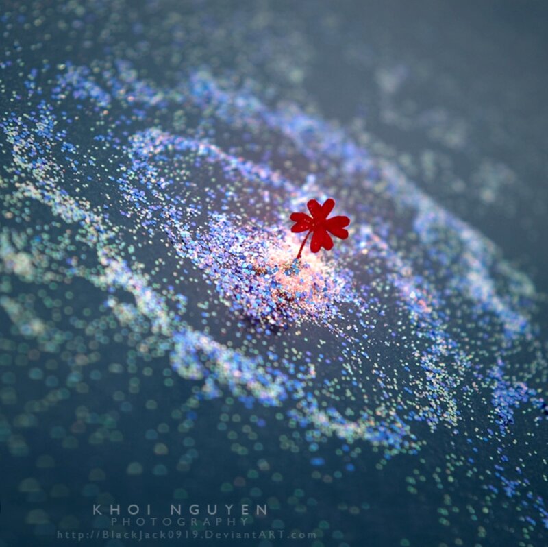 Red Flower on Glitter