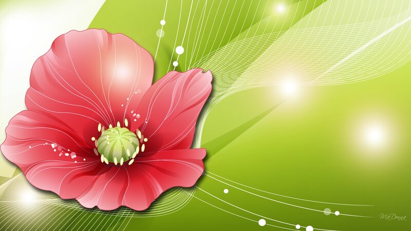 Red Flower on Green Background — Vibrant
