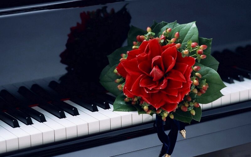 Red Flower on Piano — Dramatic