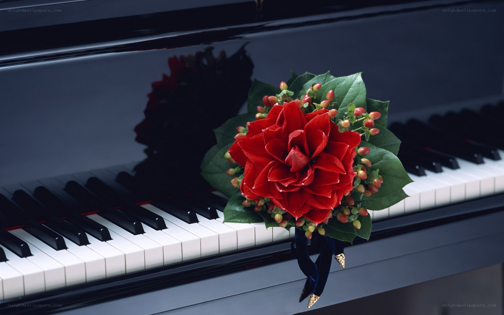 Red flower on piano keys