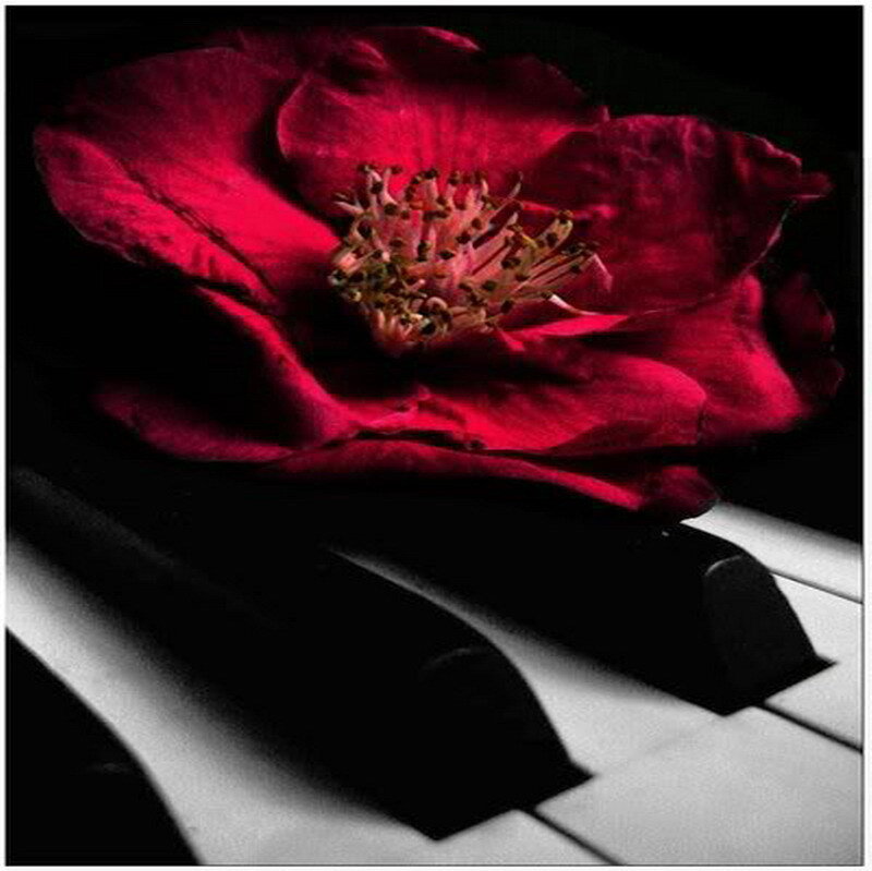 red flower on piano keys