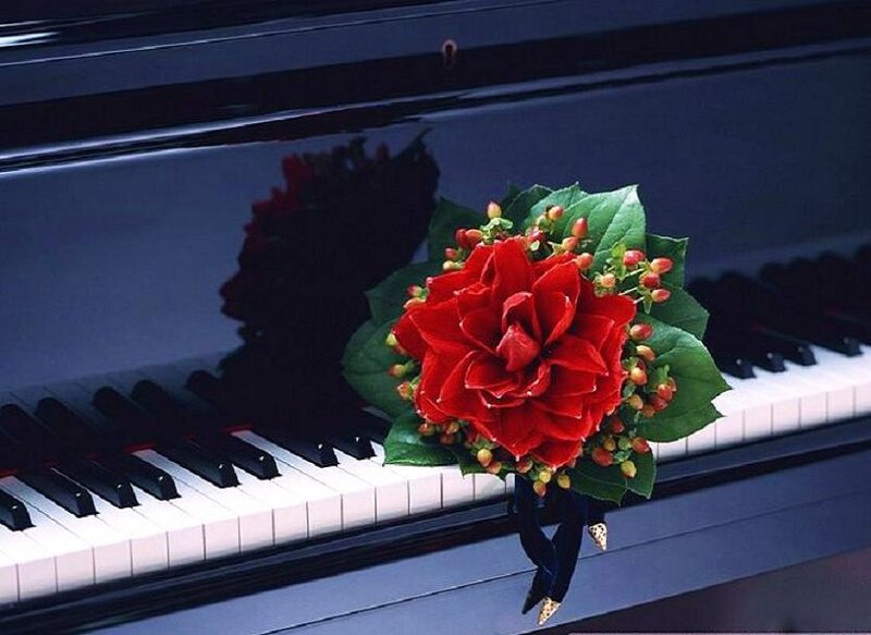 Red flower on piano