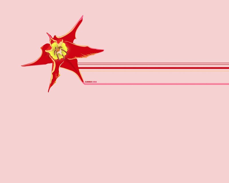 Red flower on pink background