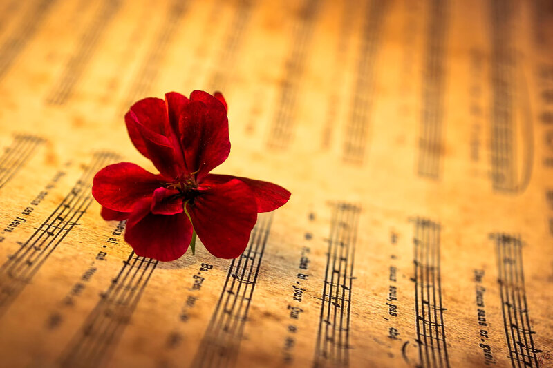 Red Flower on Sheet Music