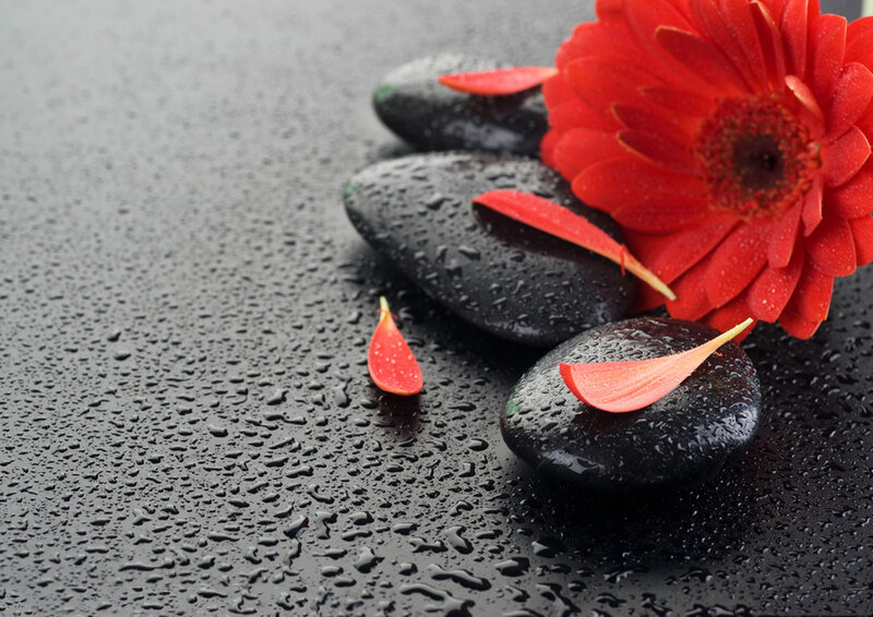 Red Flower on Wet Stones