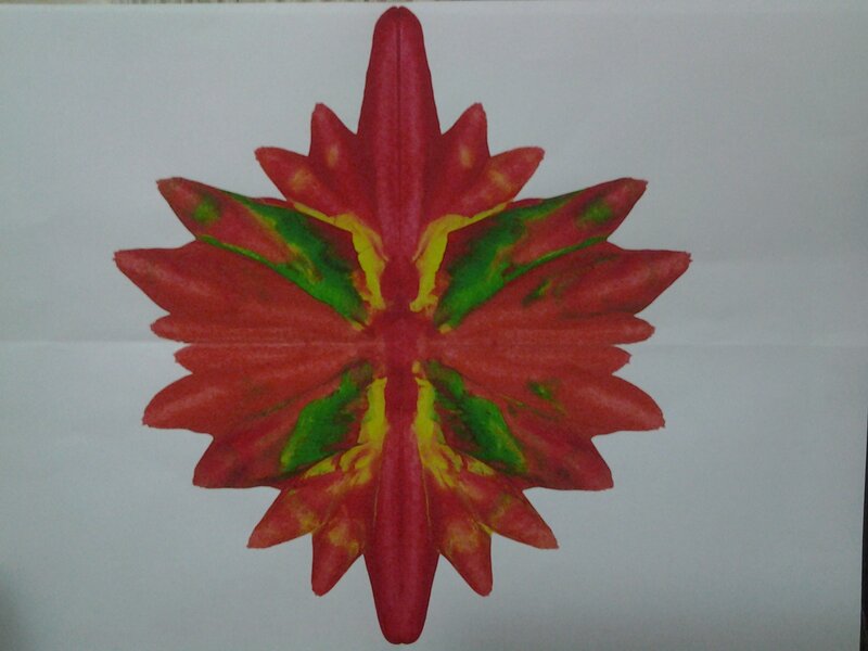 Red Flower Pattern — Symmetrical