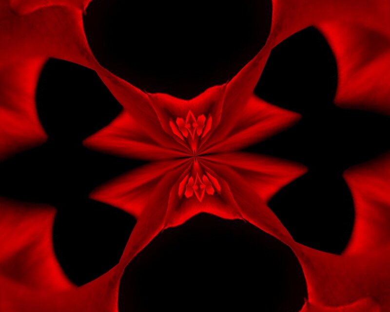 Red Flower Pattern