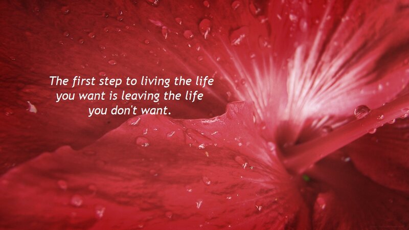 Red Flower Petal — Calm
