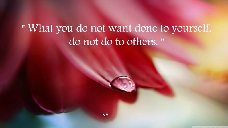 Red Flower Petal — Serene, Photograph, Drop of Water, Text