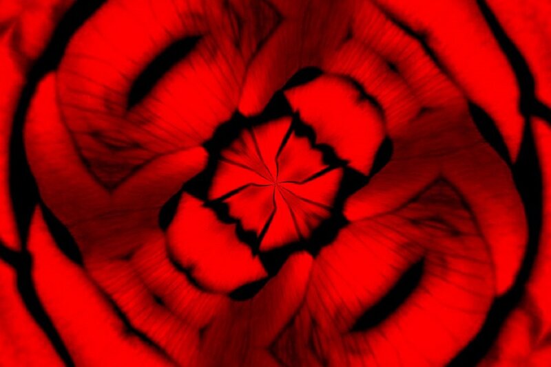 Red Flower Petals — Dramatic, Abstract