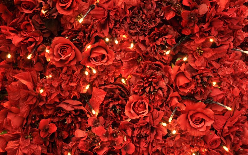 Red Flower Wall