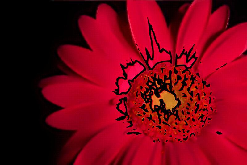 Red flower with artistic effect