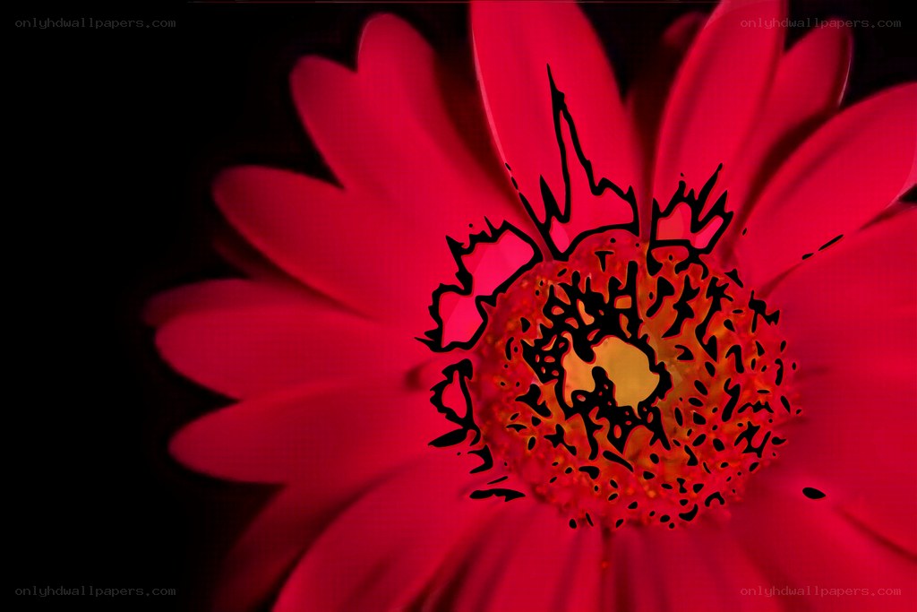 Red flower with artistic effect