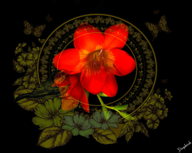 Red Flower with Bird