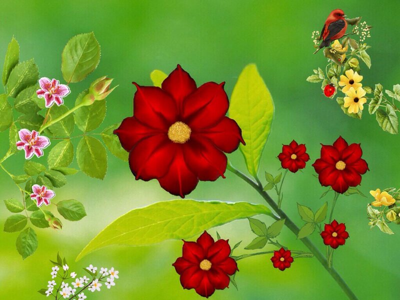 Red Flower with Birds