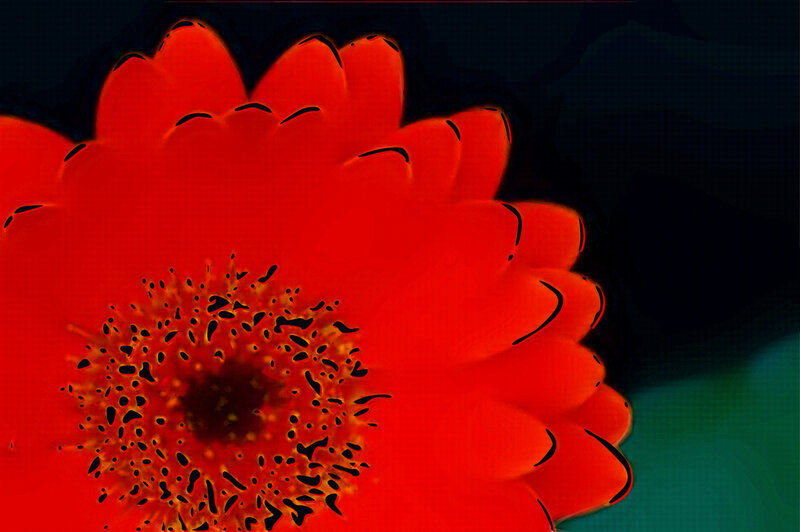 Red flower with dark background
