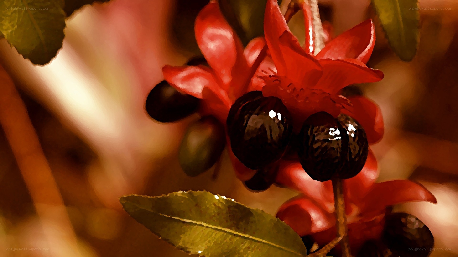 red flower with dark berries