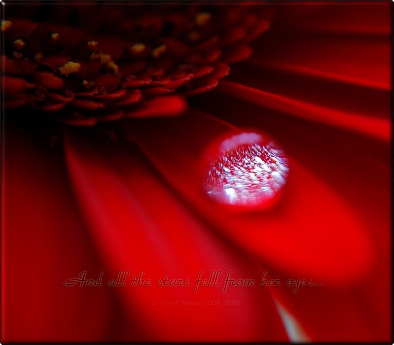 Red flower with dew drop