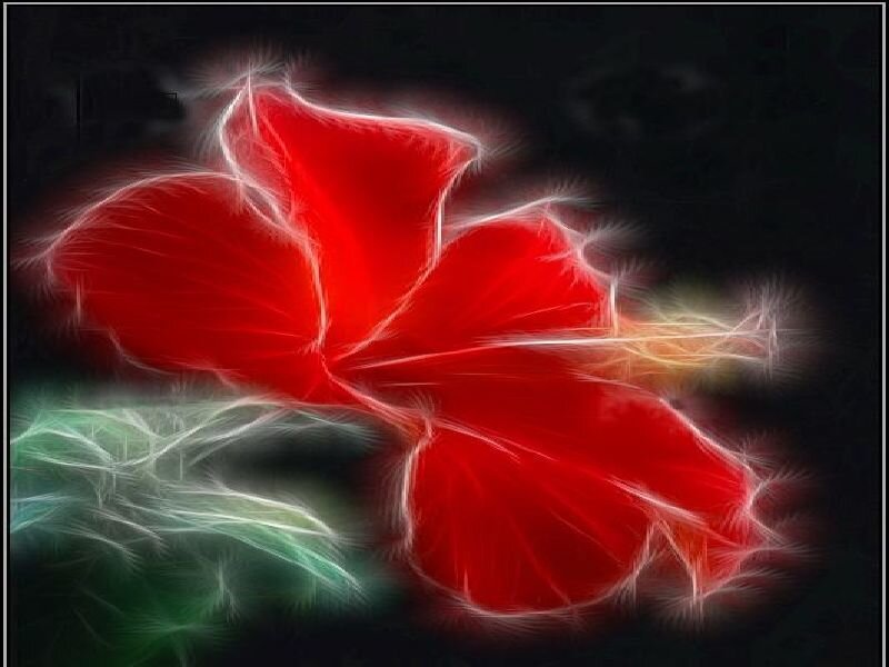 Red flower with glowing effect